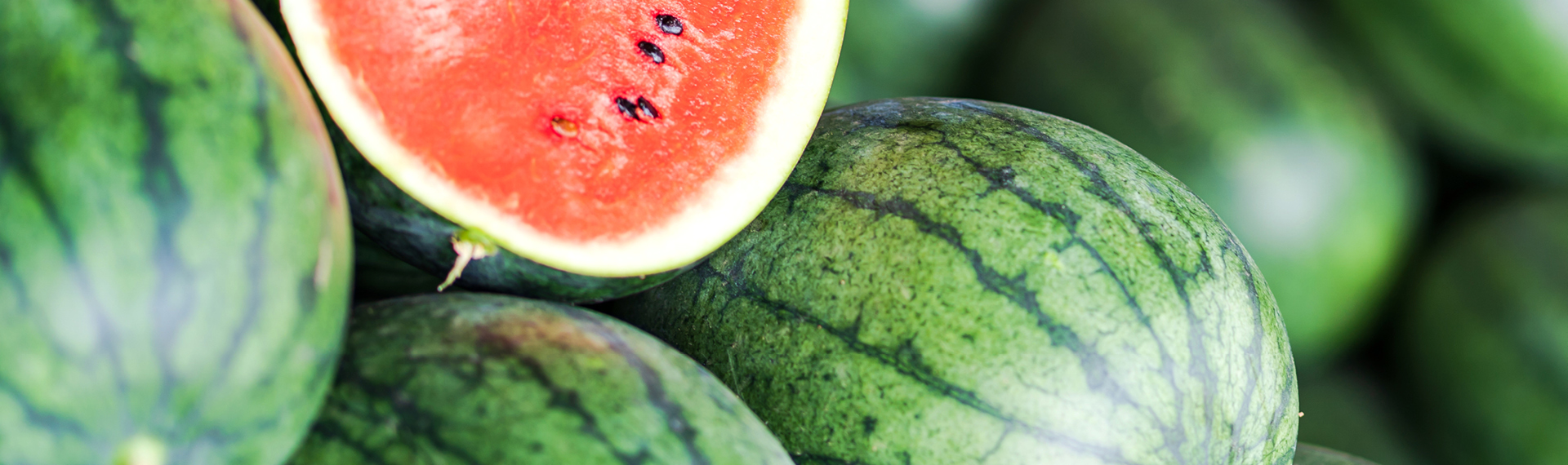 Frische Melonen 
