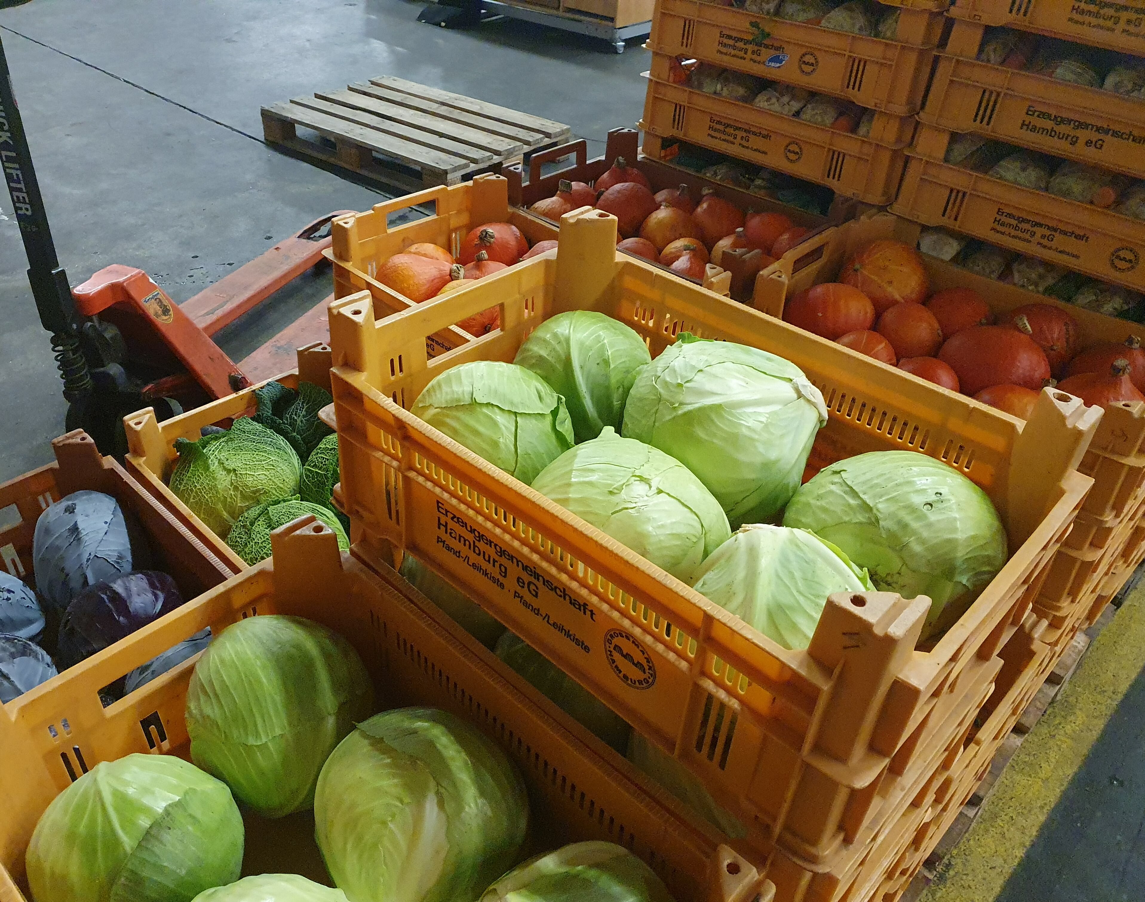 Blick auf die Erzeugerfläche in der Großmarkthalle